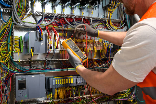 Best Electric Panel Repair  in Lakeside, VA